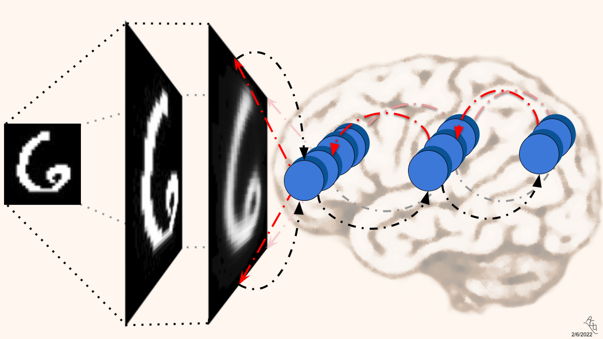 Neural generative coding.